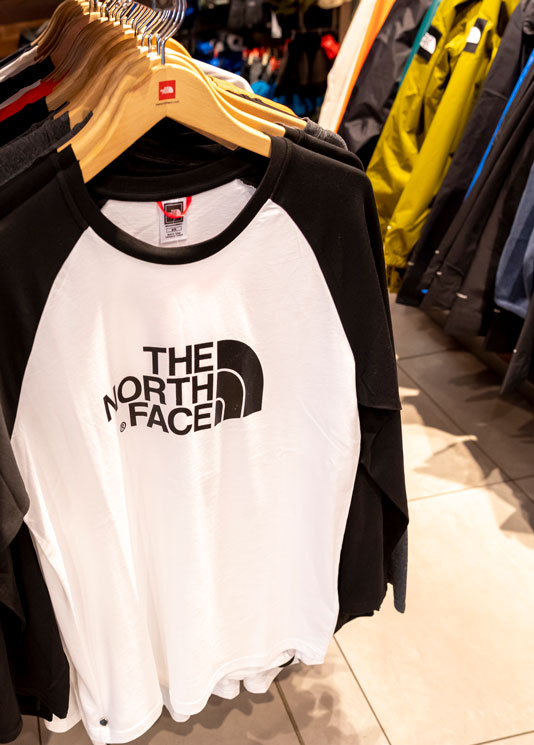 the north face retailers